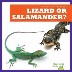 Lizard or Salamander? - Rice, Jamie