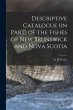 Descriptive Catalogue (in Part) of the... - Bild 1