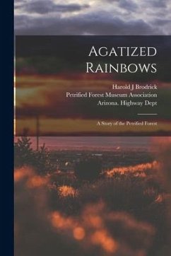 Agatized Rainbows: a Story of the Petrified Forest - Brodrick, Harold J.