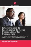 Determinantes do Desempenho de Novos Empreendimentos Empresariais