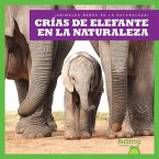 Crías de Elefante En La Naturaleza (Elephant Calves in the Wild)