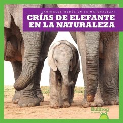 Crías de Elefante En La Naturaleza (Elephant Calves in the Wild) - Brandle, Marie