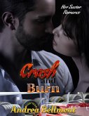 Crash and Burn, Her Savior Romance (A Love Short) (eBook, ePUB)