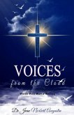 Voices from the Cloud (eBook, ePUB)