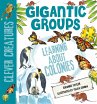 Gigantic Groups (eBook, PDF) - Bild 1