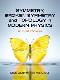 Symmetry, Broken Symmetry, and Topology in Modern Physics (eBook, PDF)