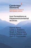 Iron Formations as Palaeoenvironmental Archives (eBook, ePUB)