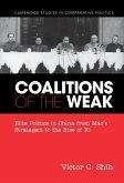 Coalitions of the Weak (eBook, ePUB)