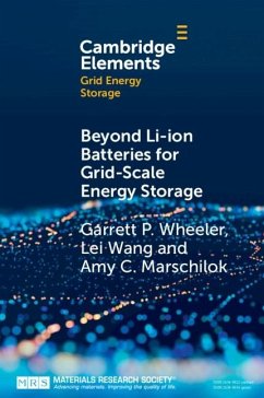 Cover Beyond Li-ion Batteries for Grid-Scale Energy Storage (eBook, ePUB)