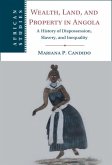 Wealth, Land, and Property in Angola (eBook, ePUB)