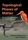 Topological Phases of Matter (eBook, PDF)