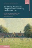 Theory, Practice, and Interpretation of Customary International Law (eBook, ePUB)