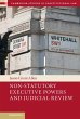 Non-Statutory Executive Powers and... - Bild 1