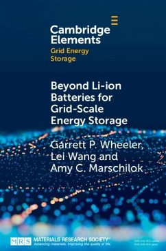 Beyond Li-ion Batteries for Grid-Scale Energy Storage (eBook, PDF) - Wheeler, Garrett P.