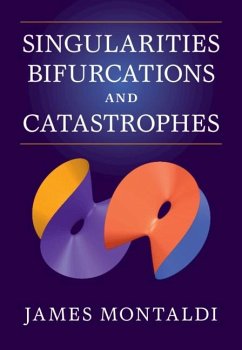 Cover Singularities, Bifurcations and Catastrophes (eBook, PDF)