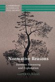 Normative Reasons (eBook, ePUB)