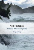 Non-Finiteness (eBook, ePUB)