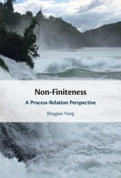 Non-Finiteness (eBook, ePUB) - Yang, Bingjun