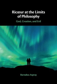 RicA ur at the Limits of Philosophy (eBook, ePUB) - Aspray, Barnabas