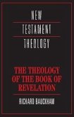 Theology of the Book of Revelation (eBook, PDF)