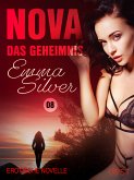 Nova 8: Das Geheimnis – Erotische Novelle (eBook, ePUB)