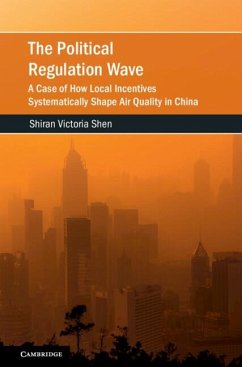 Cover Political Regulation Wave (eBook, PDF)