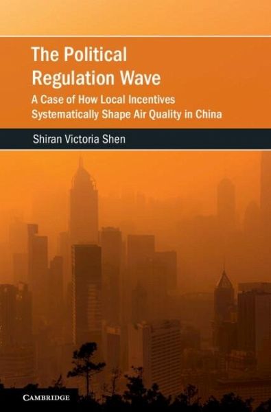 Political Regulation Wave (eBook, PDF) Political Regulation Wave (eBook, PDF)