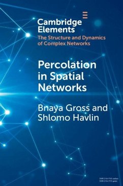 Percolation in Spatial Networks (eBook, PDF) - Gross, Bnaya