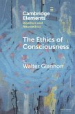 Ethics of Consciousness (eBook, ePUB)