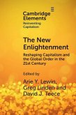 New Enlightenment (eBook, PDF)