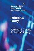 Industrial Policy (eBook, PDF)