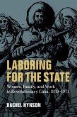 Laboring for the State (eBook, PDF)