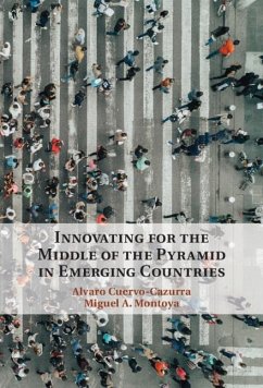 Innovating for the Middle of the Pyramid in Emerging Countries (eBook, PDF)