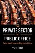Private Sector in Public Office (eBook,... - Bild 1