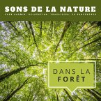 Dans la forêt: Sons de la nature pour dormir, relaxation, travailler, se concentrer (MP3-Download)