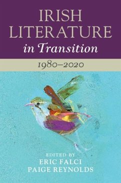 Cover Irish Literature in Transition: 1980-2020: Volume 6 (eBook, PDF)