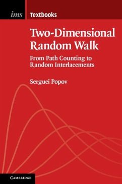 Two-Dimensional Random Walk (eBook, PDF) - Popov, Serguei