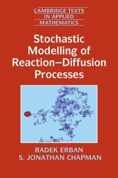 Stochastic Modelling of Reaction-Diffusion Processes (eBook, PDF) - Erban, Radek