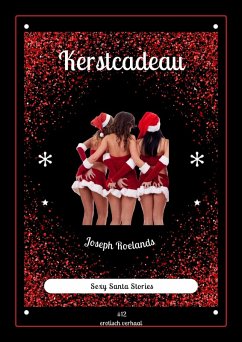 Cover Kerstcadeau (Santa Stories, #12) (eBook, ePUB)