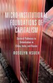Micro-institutional Foundations of Capitalism (eBook, PDF)