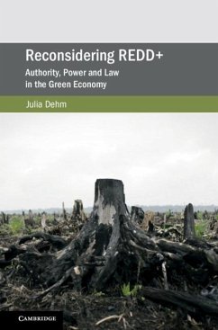Cover Reconsidering REDD+ (eBook, PDF)