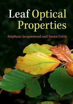Cover Leaf Optical Properties (eBook, PDF)