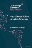 Neo-extractivism in Latin America (eBook, PDF)
