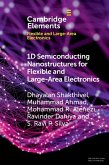 1D Semiconducting Nanostructures for Flexible and Large-Area Electronics (eBook, PDF)