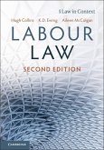 Labour Law (eBook, PDF)
