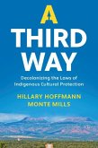 Third Way (eBook, PDF)