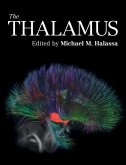 Thalamus (eBook, PDF)