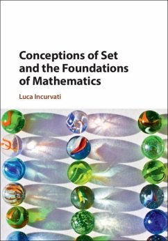 Conceptions of Set and the Foundations of Mathematics (eBook, PDF) - Incurvati, Luca