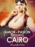 Amor y pasión en el Viejo Cairo - un relato corto erótico (eBook, ePUB)