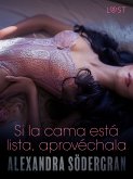 Si la cama está lista, aprovéchala - Relato erótico (eBook, ePUB)